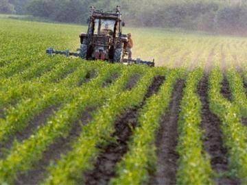 terreno agricolo in vendita a Ravenna in zona Fornace Zarattini