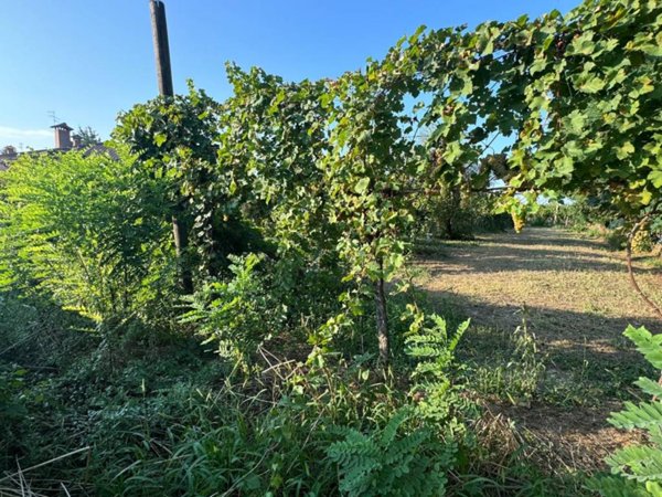 terreno agricolo in vendita a Ravenna