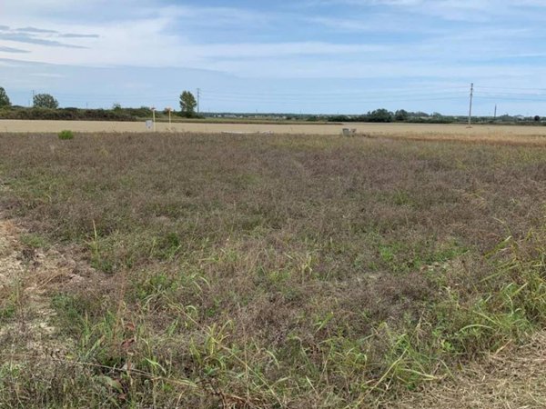 terreno agricolo in vendita a Ravenna in zona Punta Marina Terme