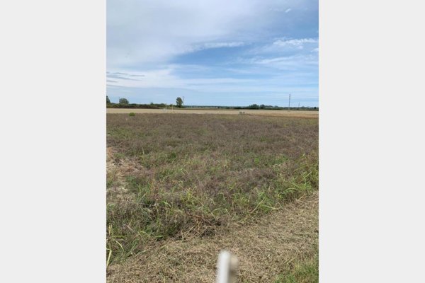 terreno agricolo in vendita a Ravenna in zona Punta Marina Terme