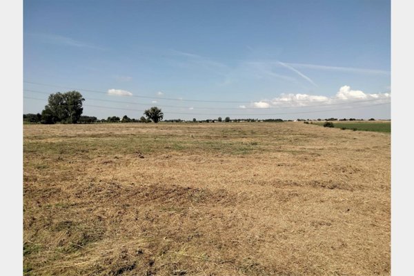 terreno agricolo in vendita a Ravenna in zona San Romualdo