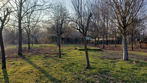 terreno agricolo in vendita a Ravenna