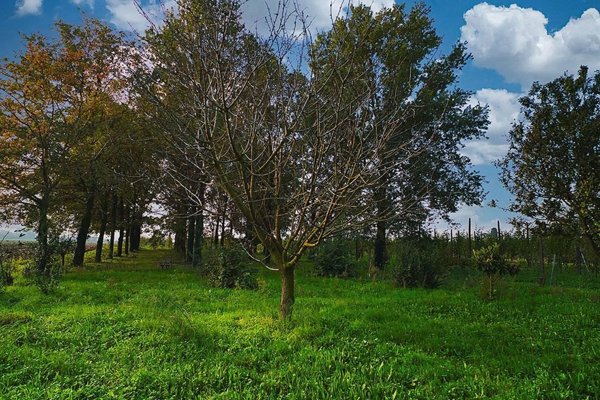 casa indipendente in vendita a Ravenna in zona Piangipane
