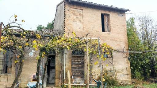 terreno agricolo in vendita a Ravenna in zona San Zaccaria