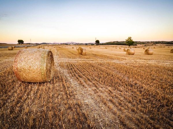 terreno agricolo in vendita a Ravenna in zona Gambellara