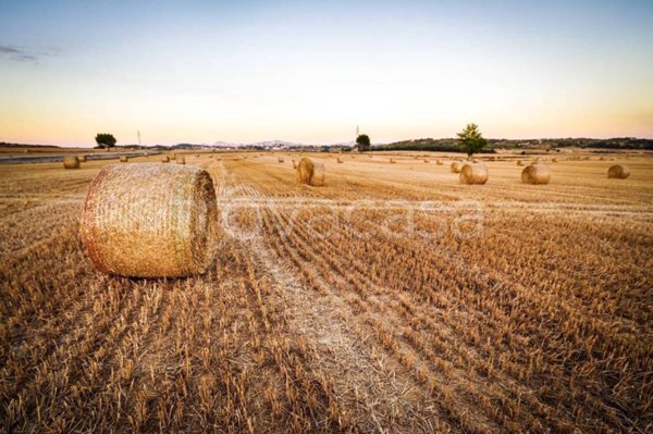terreno agricolo in vendita a Ravenna in zona Longana