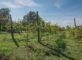 appartamento in vendita a Ravenna in zona Classe