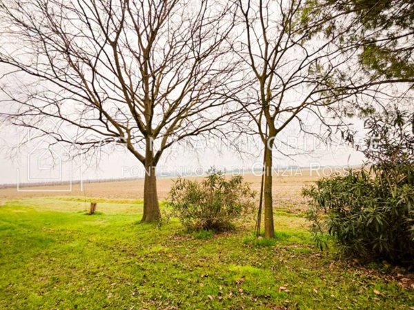 terreno agricolo in vendita a Ravenna in zona Mezzano