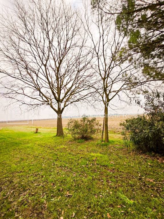 terreno agricolo in vendita a Ravenna in zona Borgo Masotti