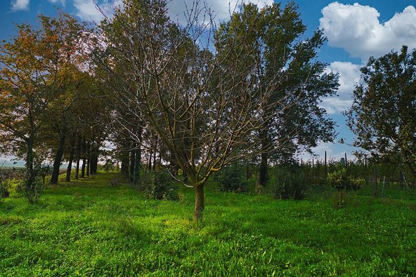 appartamento in vendita a Ravenna in zona Piangipane