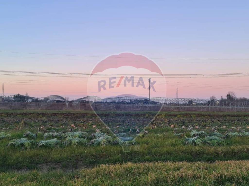 terreno agricolo in vendita a Ravenna