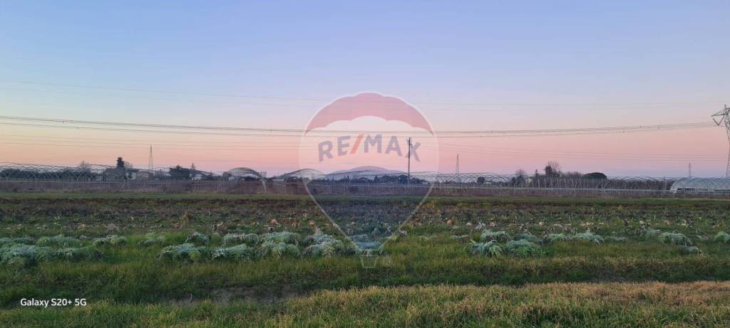 terreno agricolo in vendita a Ravenna in zona Centro Storico