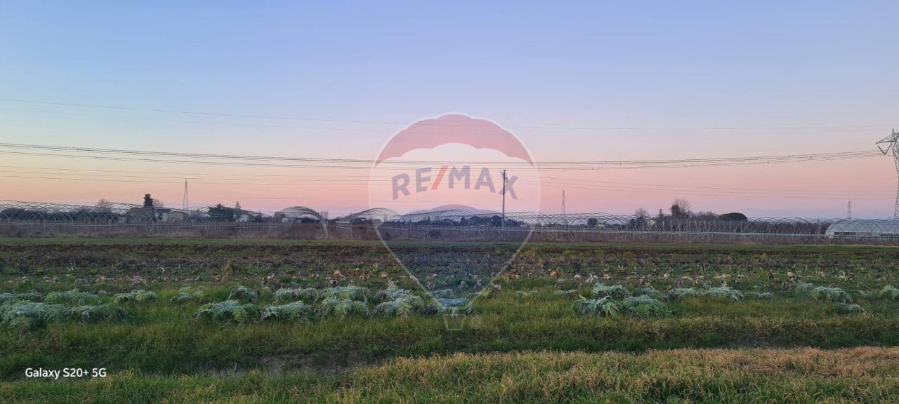 terreno agricolo in vendita a Ravenna in zona Centro Storico