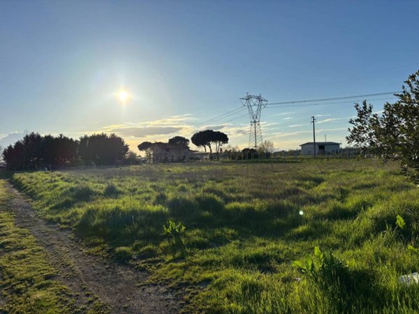 terreno agricolo in vendita a Ravenna
