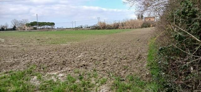 ufficio in vendita a Ravenna in zona San Romualdo