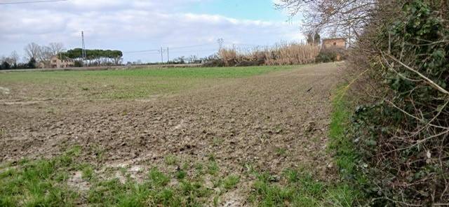 terreno agricolo in vendita a Ravenna in zona Piangipane