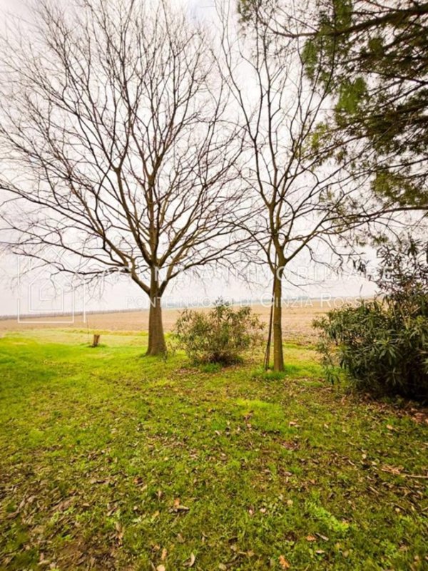 terreno agricolo in vendita a Ravenna in zona San Romualdo