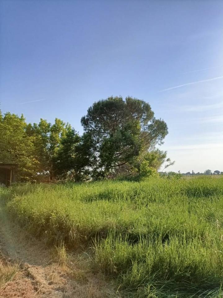 casa indipendente in vendita a Ravenna in zona Santerno