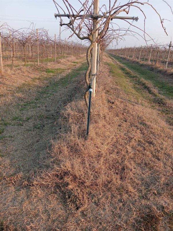 appartamento in vendita a Ravenna in zona Santo Stefano