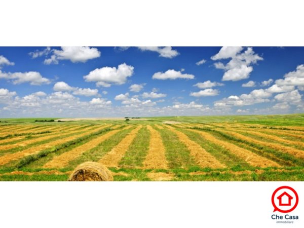 terreno agricolo in vendita a Ravenna in zona San Pietro in Vincoli