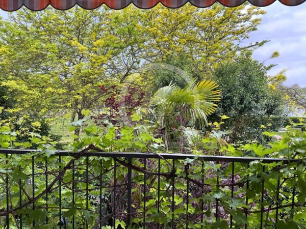 casa indipendente in vendita a Ravenna in zona Centro Storico