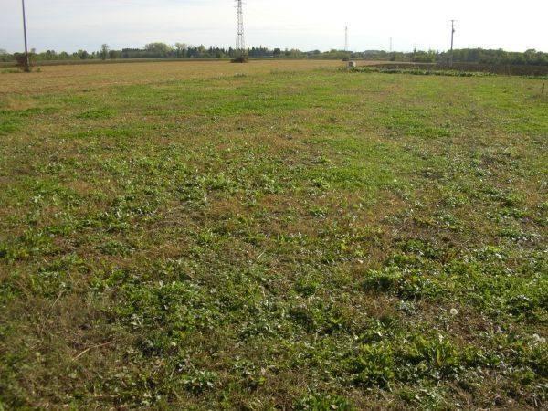 terreno edificabile in vendita a Ravenna in zona Ponte Nuovo