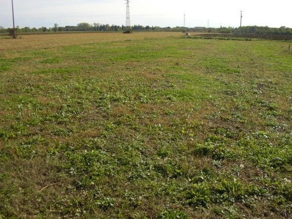 terreno edificabile in vendita a Ravenna in zona San Bartolo