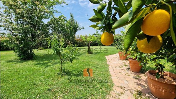 casa indipendente in vendita a Ravenna in zona Sant'Alberto