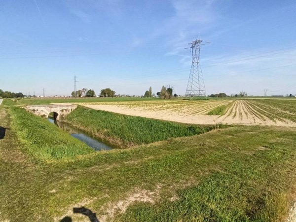 terreno agricolo in vendita a Ravenna in zona Piangipane