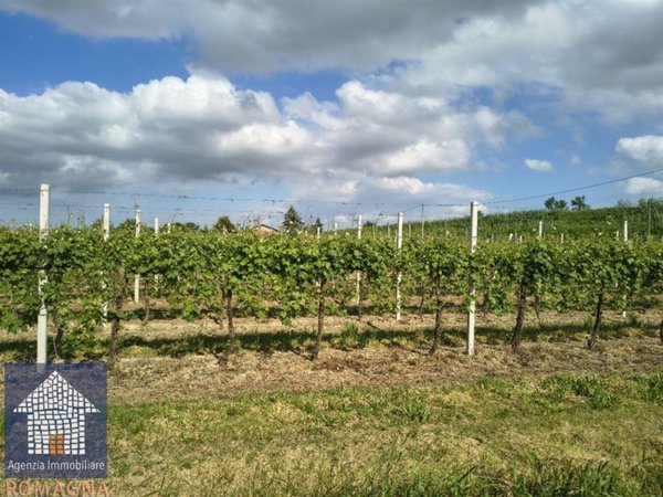 ufficio in vendita a Ravenna