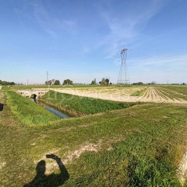 terreno agricolo in vendita a Ravenna in zona Ammonite
