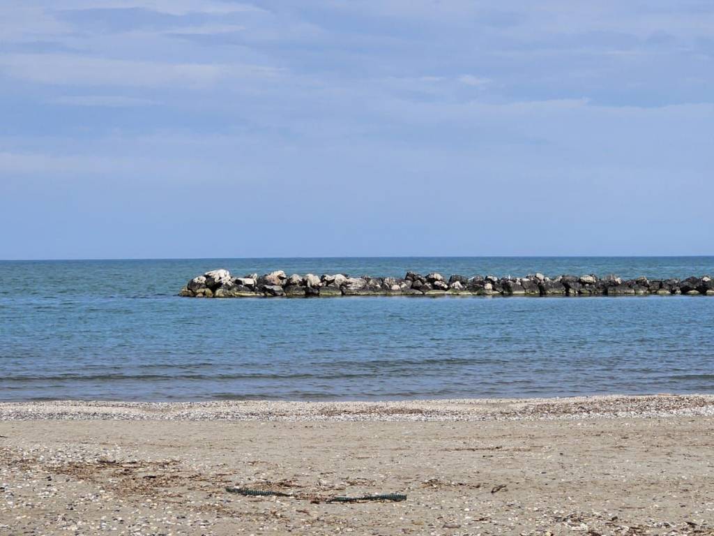 appartamento in vendita a Ravenna in zona Lido di Savio