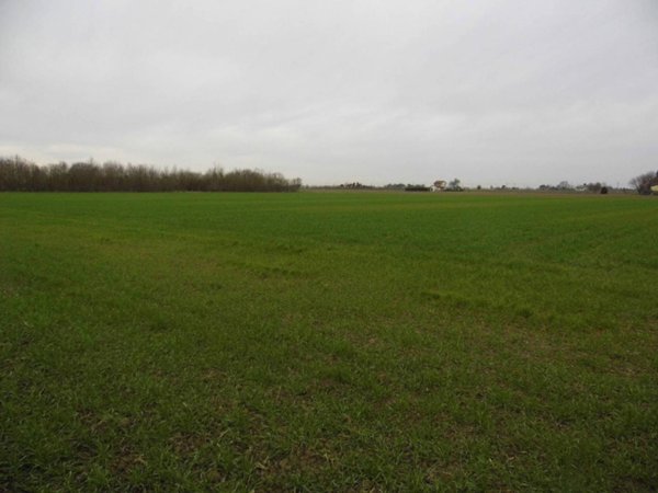 terreno agricolo in vendita a Ravenna in zona San Romualdo