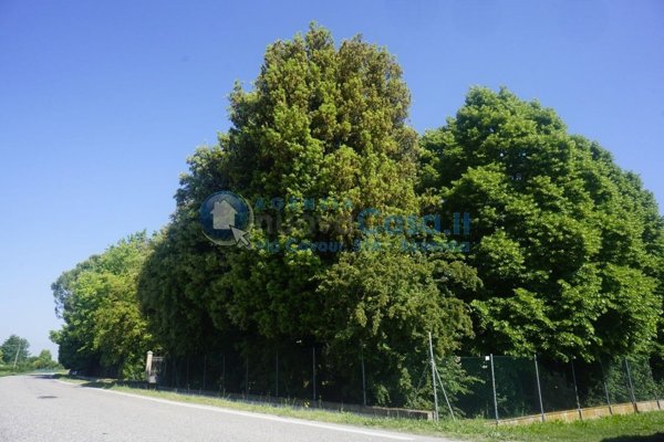 casa indipendente in vendita a Ravenna in zona San Pietro in Vincoli