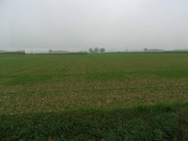 terreno agricolo in vendita a Ravenna in zona Ragone