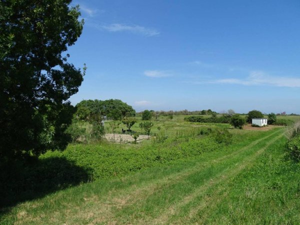 terreno edificabile in vendita a Ravenna in zona Lido di Classe