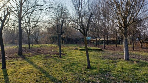 terreno agricolo in vendita a Ravenna