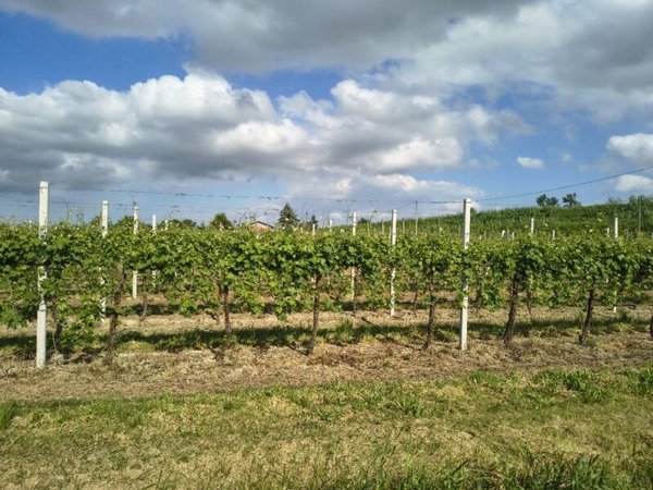 capannone in vendita a Ravenna