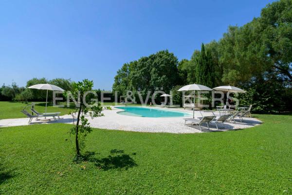 immagine annuncio 0 di 15