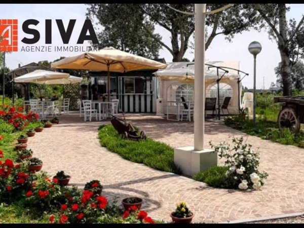 negozio in vendita a Ravenna in zona Borgo Montone