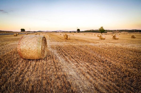 terreno agricolo in vendita a Ravenna in zona Ragone
