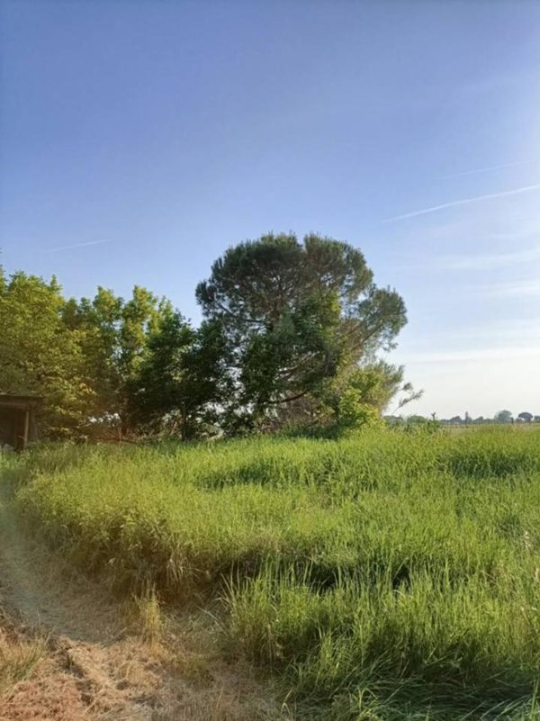 casa indipendente in vendita a Ravenna in zona Santerno