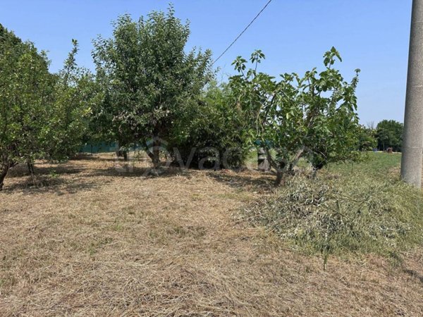 terreno agricolo in vendita a Ravenna in zona Porto Fuori