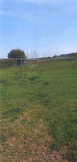 terreno agricolo in vendita a Ravenna in zona Classe