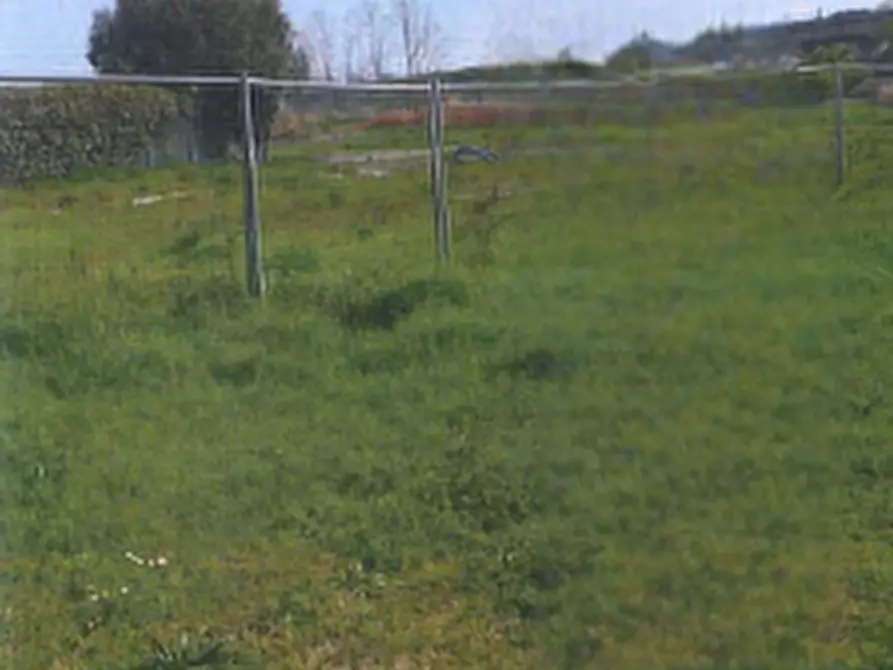terreno agricolo in vendita a Ravenna in zona Classe