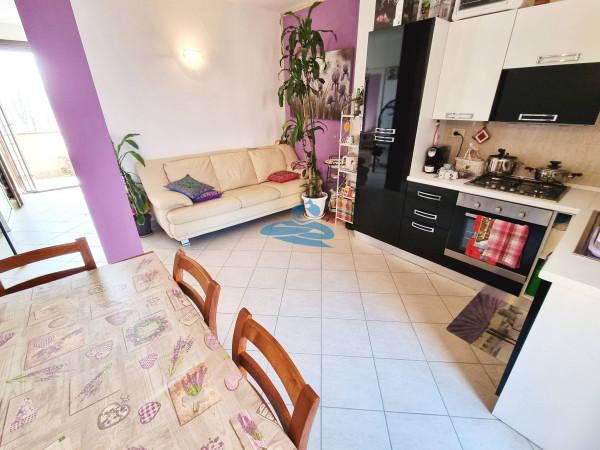 appartamento in vendita a Ravenna in zona Casal Borsetti