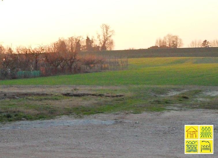 negozio in vendita a Ravenna in zona Mezzano