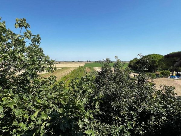 intera palazzina in vendita a Ravenna in zona Savarna / Conventello