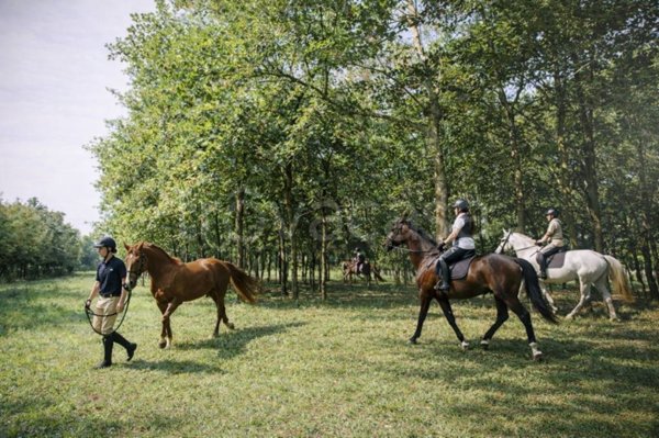 terreno agricolo in vendita a Ravenna in zona Madonna dell'Albero