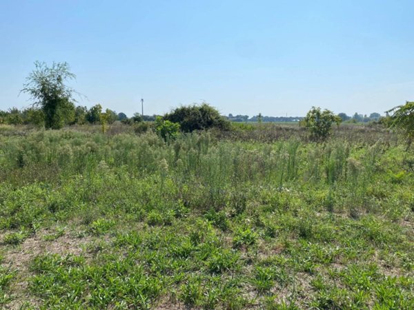 terreno agricolo in vendita a Ravenna in zona Madonna dell'Albero